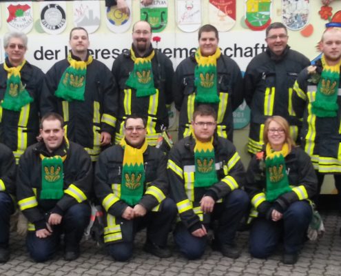 Bieberer Fastnachtszug 2014