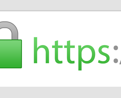 HTTPS Icon